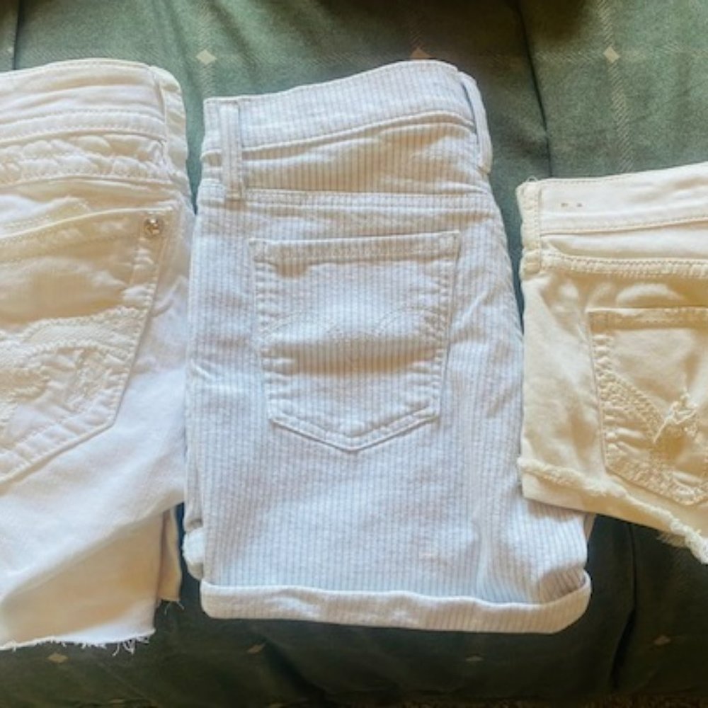 Rock Revival Hollister and Levis short shorts